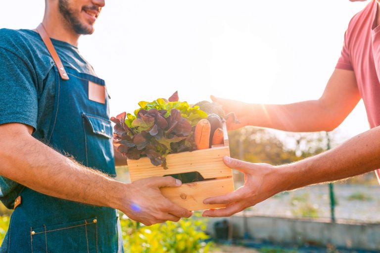 La Sostenibilidad en la Restauración Gastronómica: Un Ingrediente Clave para el Futuro.